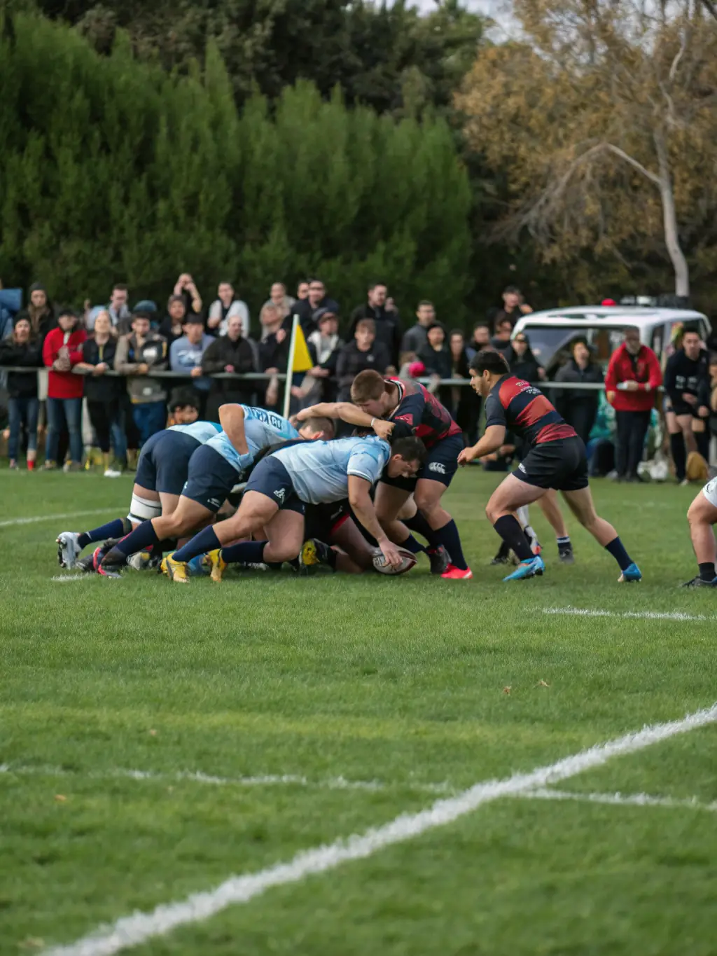 Image of adult rugby players engaged in a friendly match, showcasing the camaraderie and competitive spirit of the MEYMASCLUB's adult league.